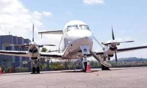 Cycads African Safaris - Uganda, Rwanda, Kenya & Tanzania