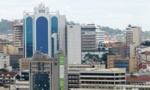 Cycads African Safaris - Uganda, Rwanda, Kenya & Tanzania