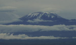 Cycads African Safaris - Uganda, Rwanda, Kenya & Tanzania