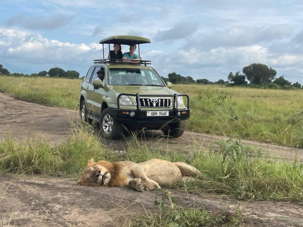Queen Elizabeth Safari - Gorilla Safaris Uganda