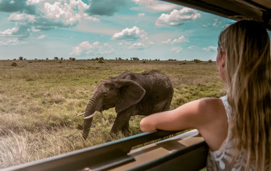 Murchison Falls Boat Cruise