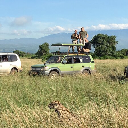 Uganda Gorilla Permit Price 2025