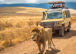 Big Five Safari in Uganda
