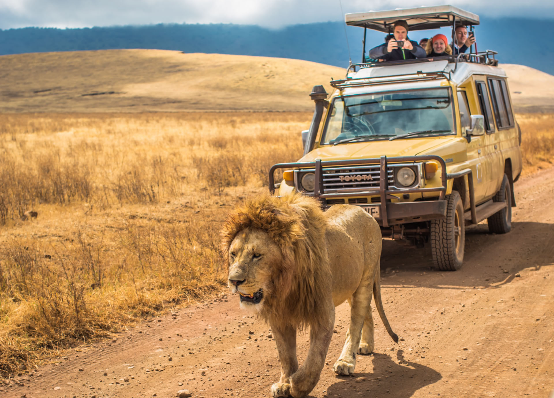 Big Five Safari in Uganda