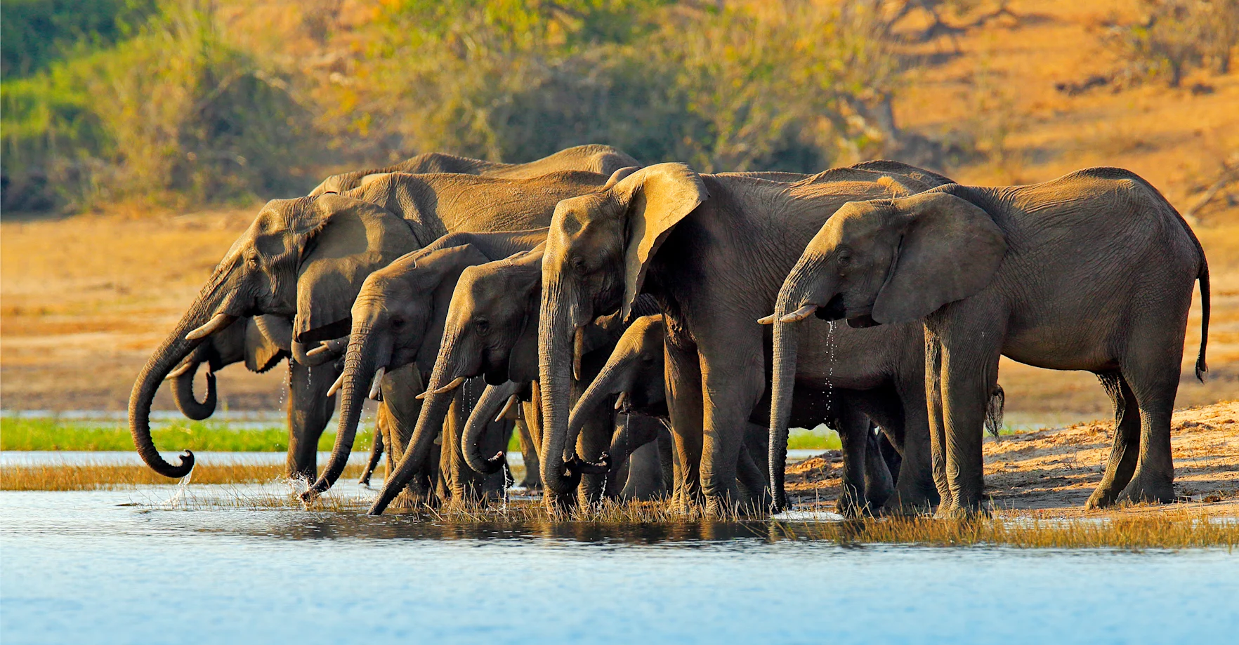 Murchison Falls National Park | Gorilla Safaris Uganda